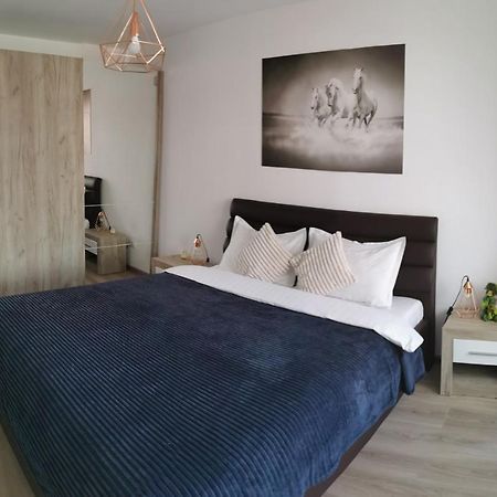 Marimonti Apartment Braşov Exteriör bild