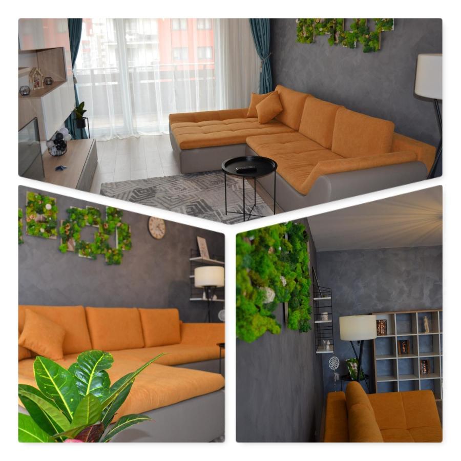 Marimonti Apartment Braşov Exteriör bild